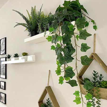 Capuanshome-Intero Appartamento Roma Esterno foto